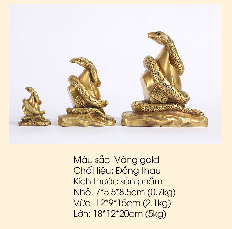 Tuong-dong-ran-hoang-dao-trang-tri-noi-that-TT850-6