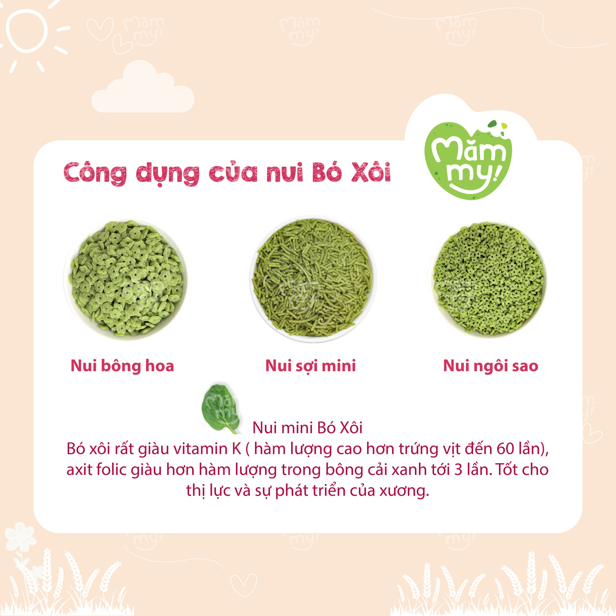 Dễ cầm, dễ nhai