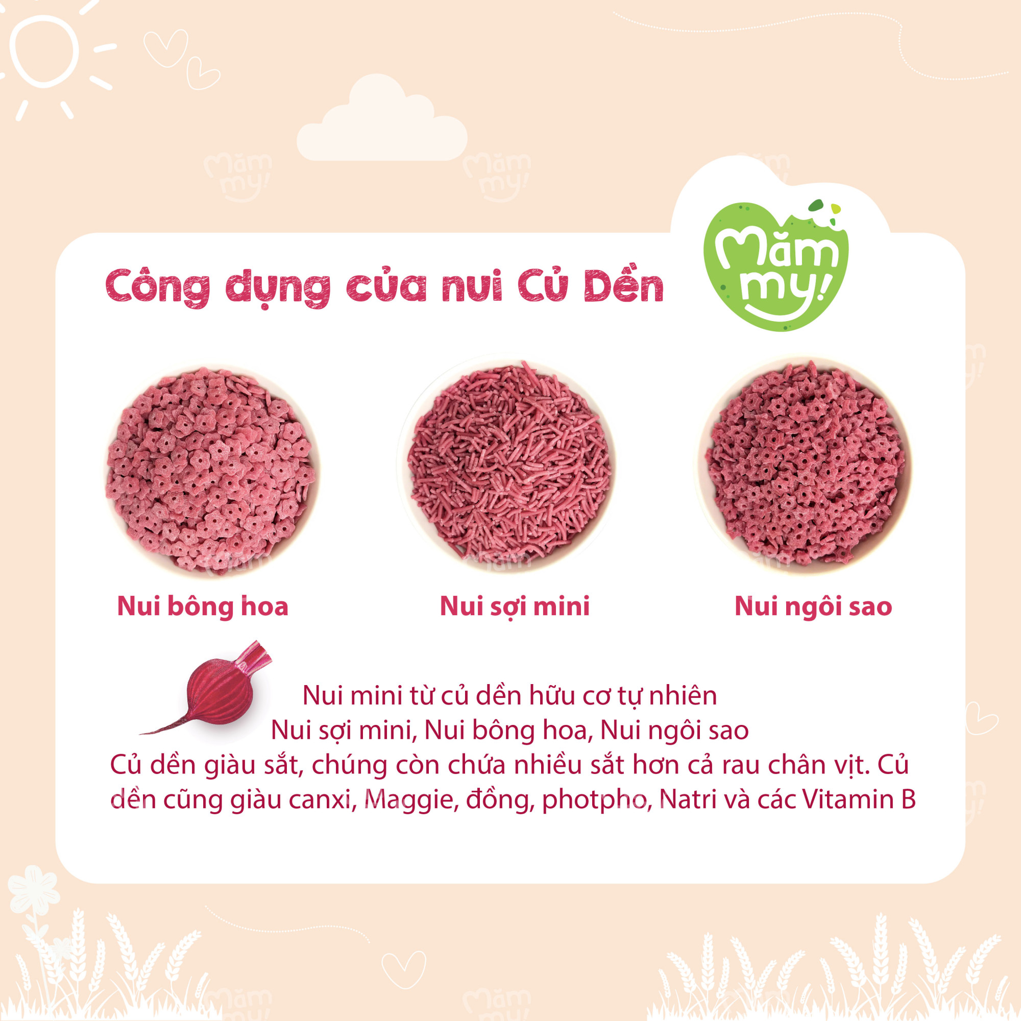 Dễ cầm, dễ nhai