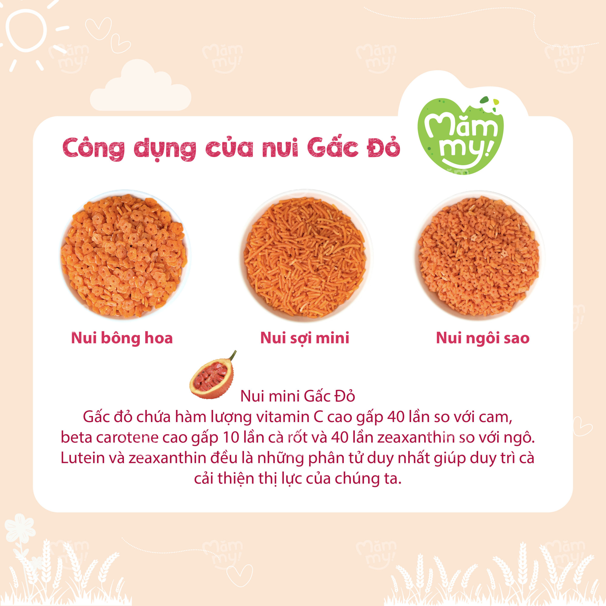 Dễ cầm, dễ nhai