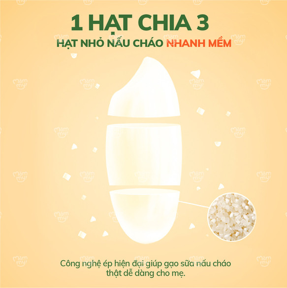 Gạo dẻo, thơm và mềm